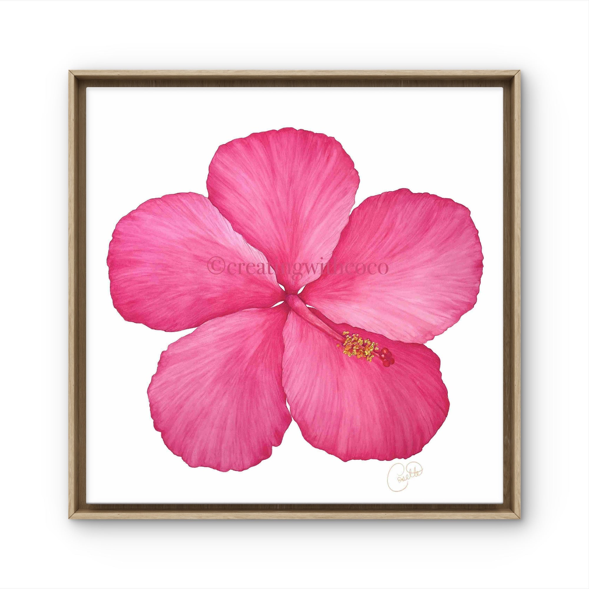 Yoder Hot Pink Hibiscus