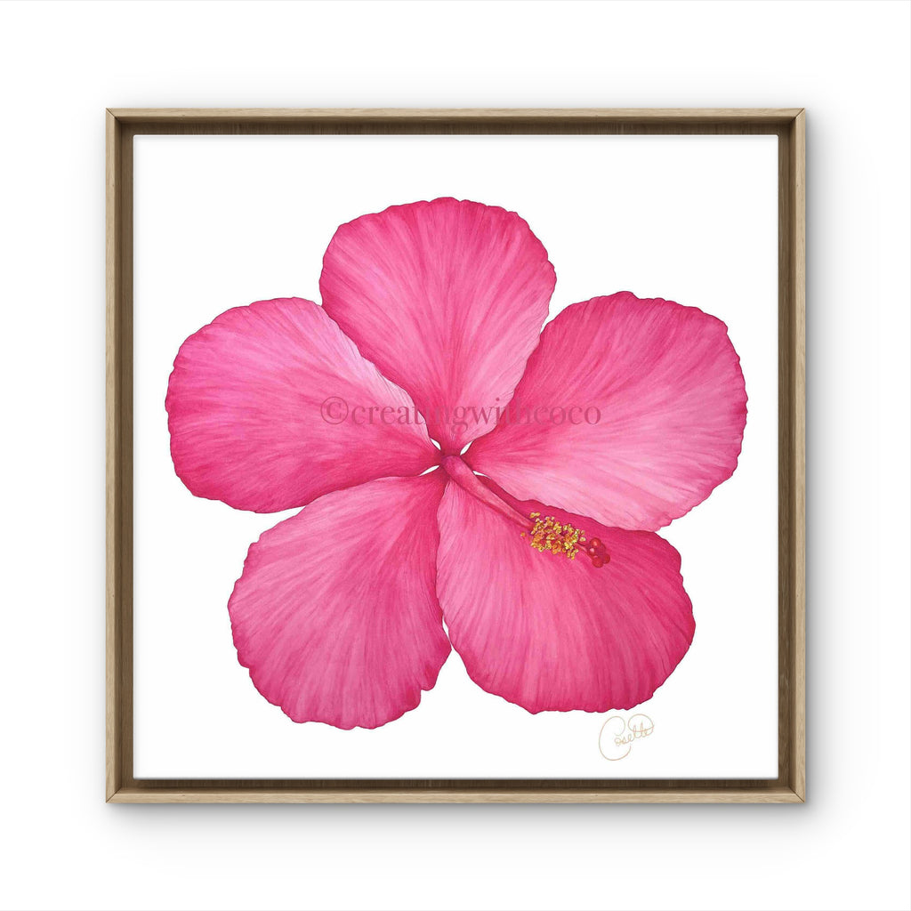 Yoder Hot Pink Hibiscus