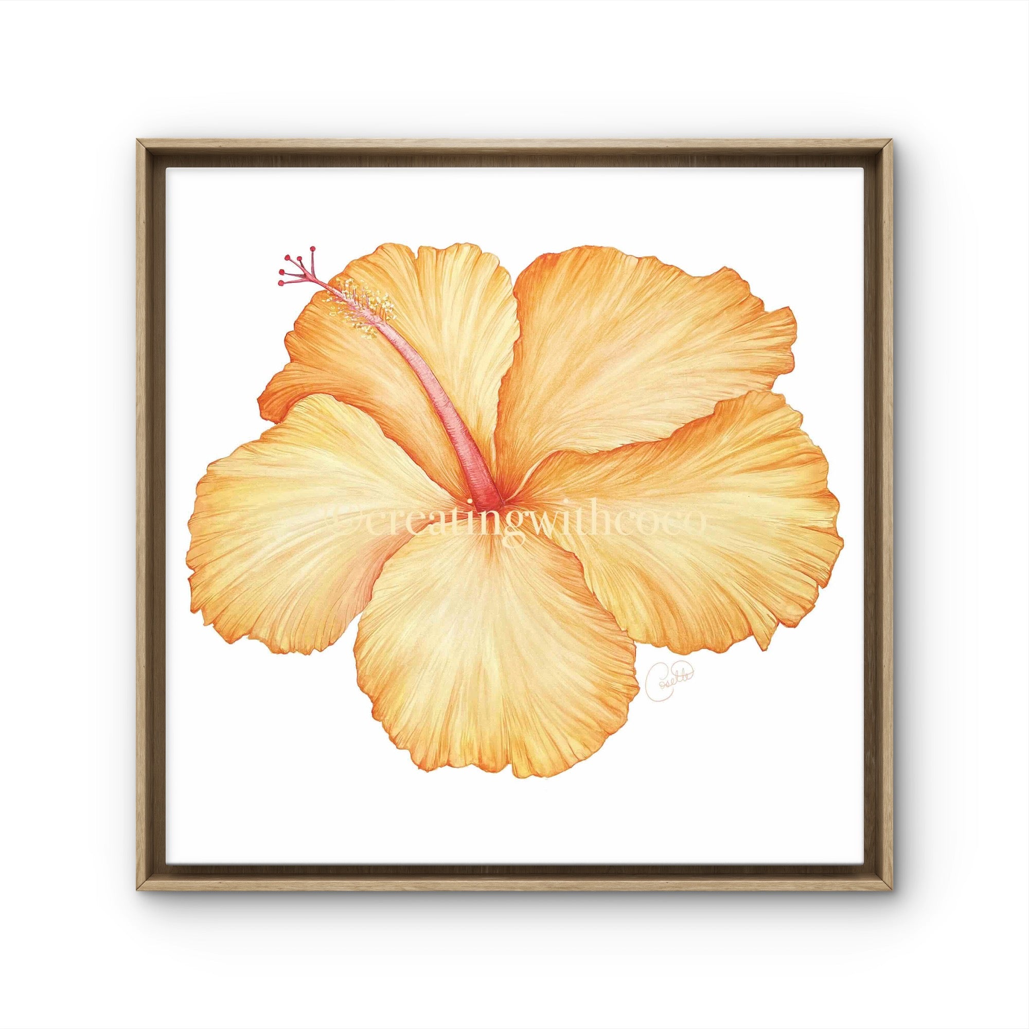 Celia Yellow Hibiscus