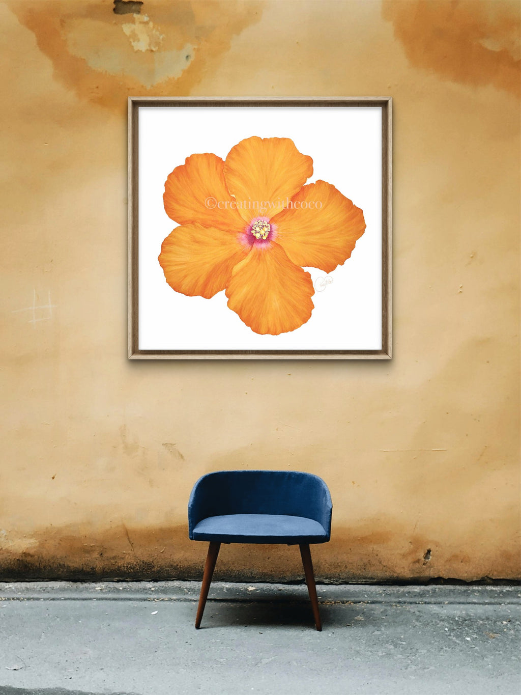 Hollywood Hibiscus