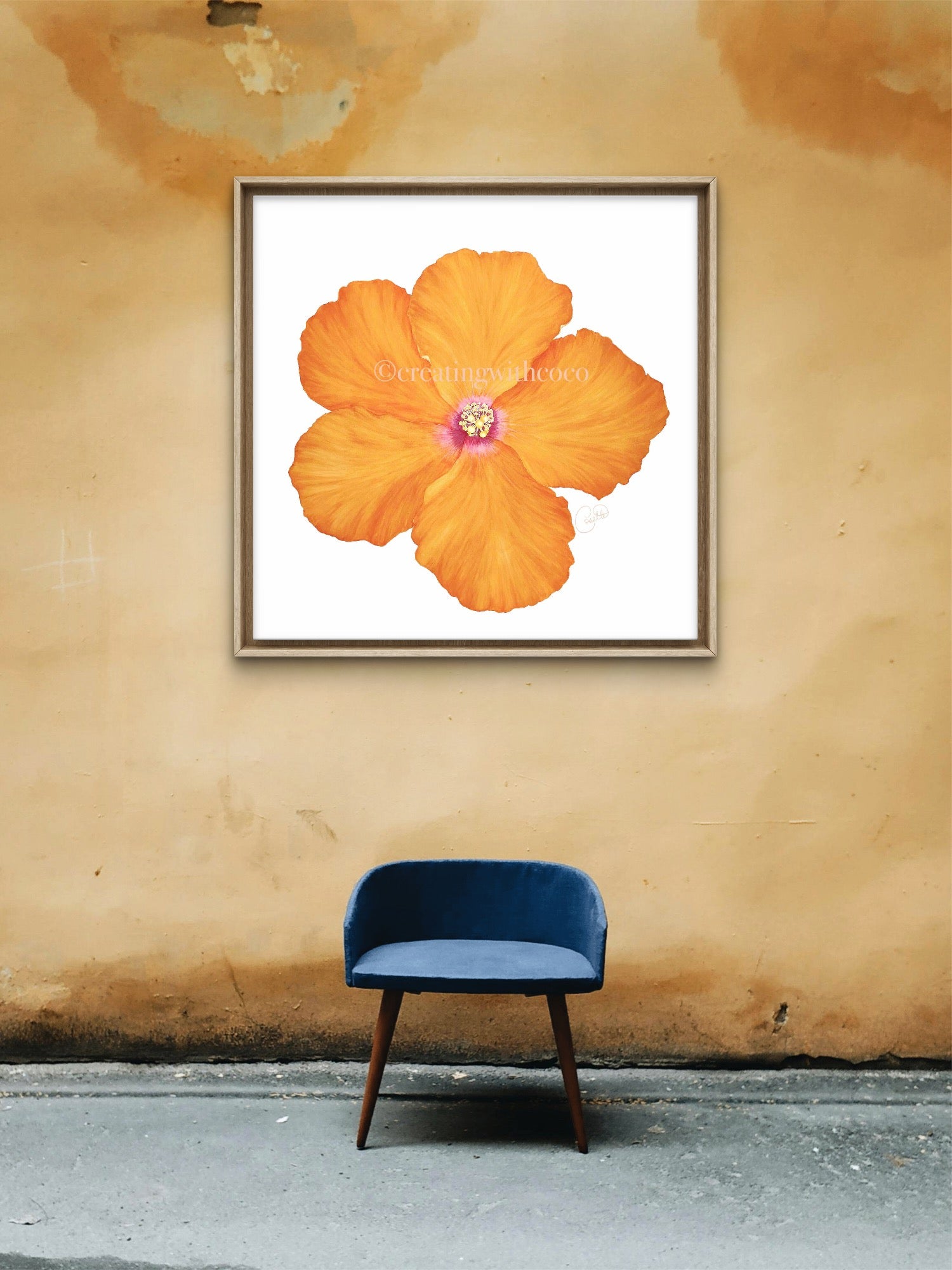 Hollywood Hibiscus