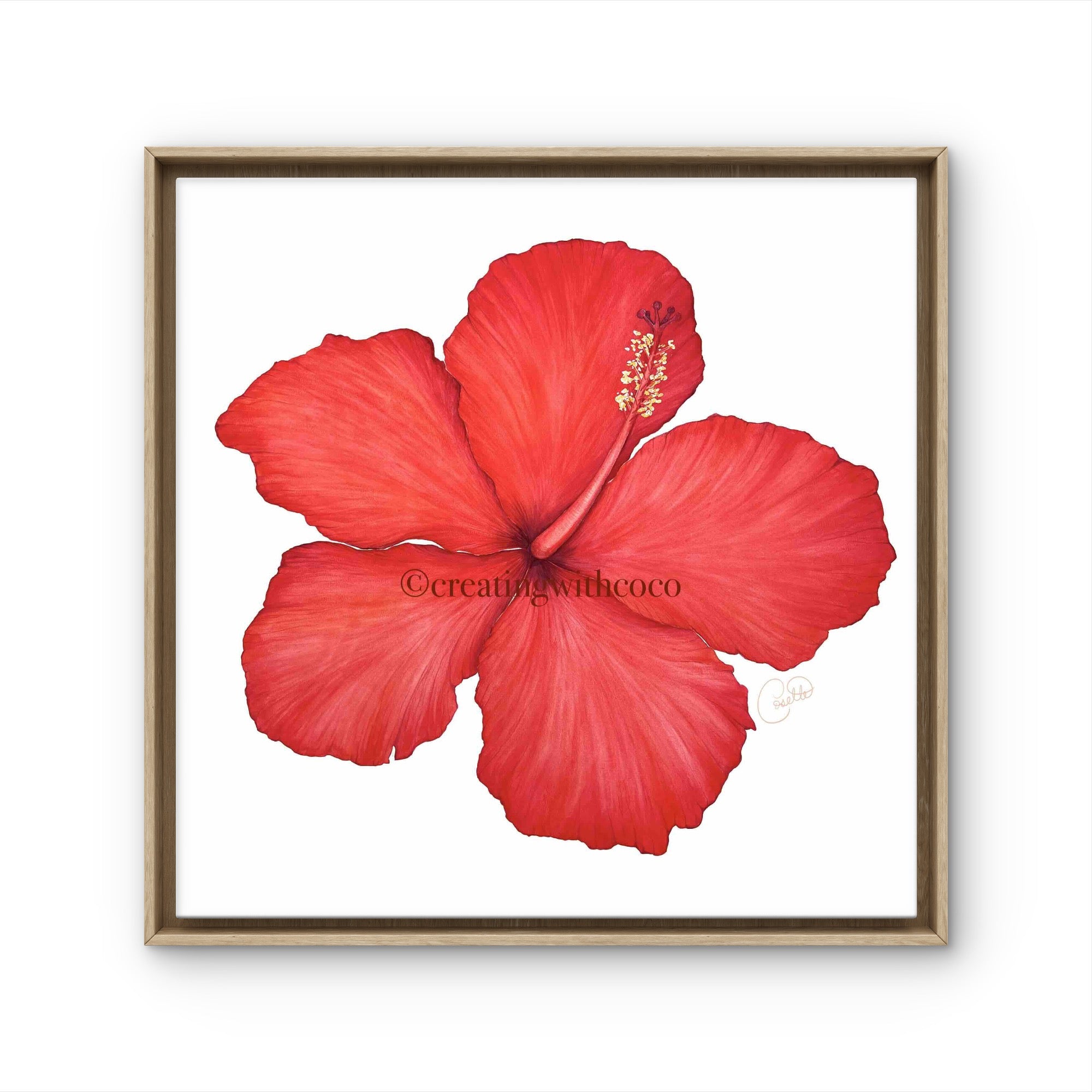 Red Darling Hibiscus