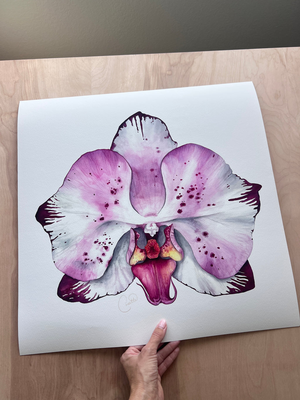 Orchid Crush