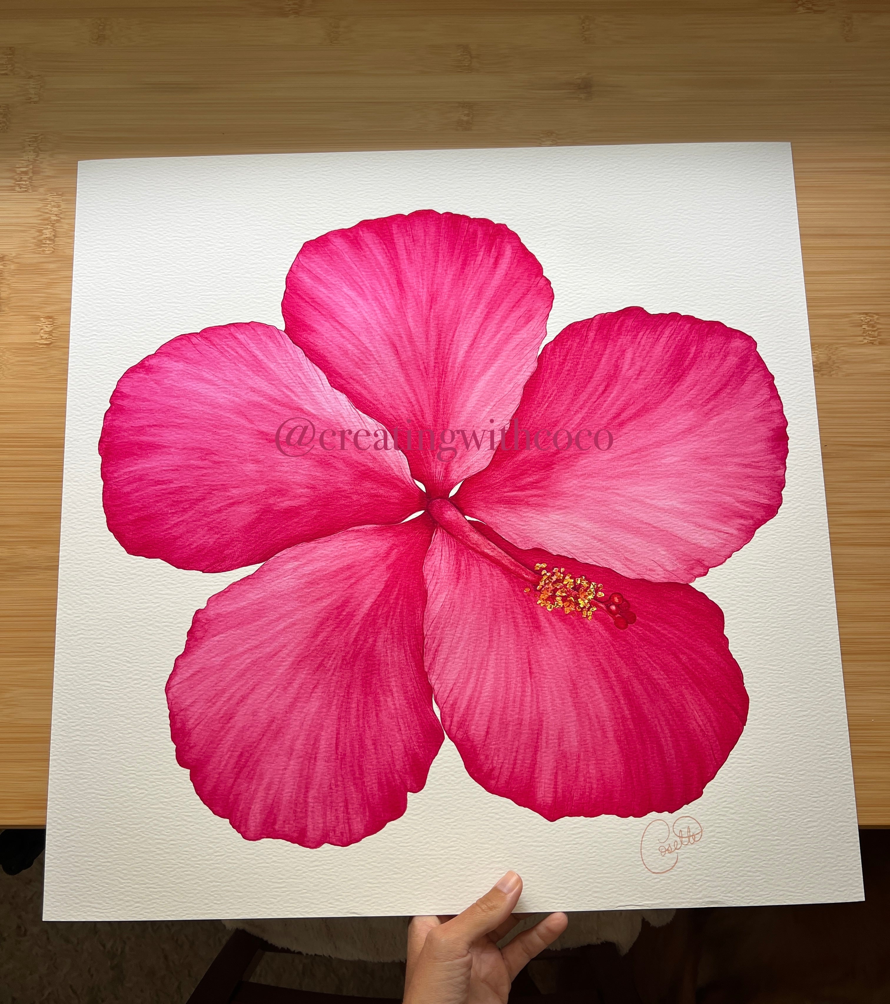 Yoder Hot Pink Hibiscus