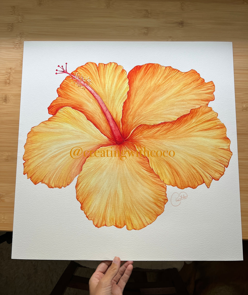 Celia Yellow Hibiscus