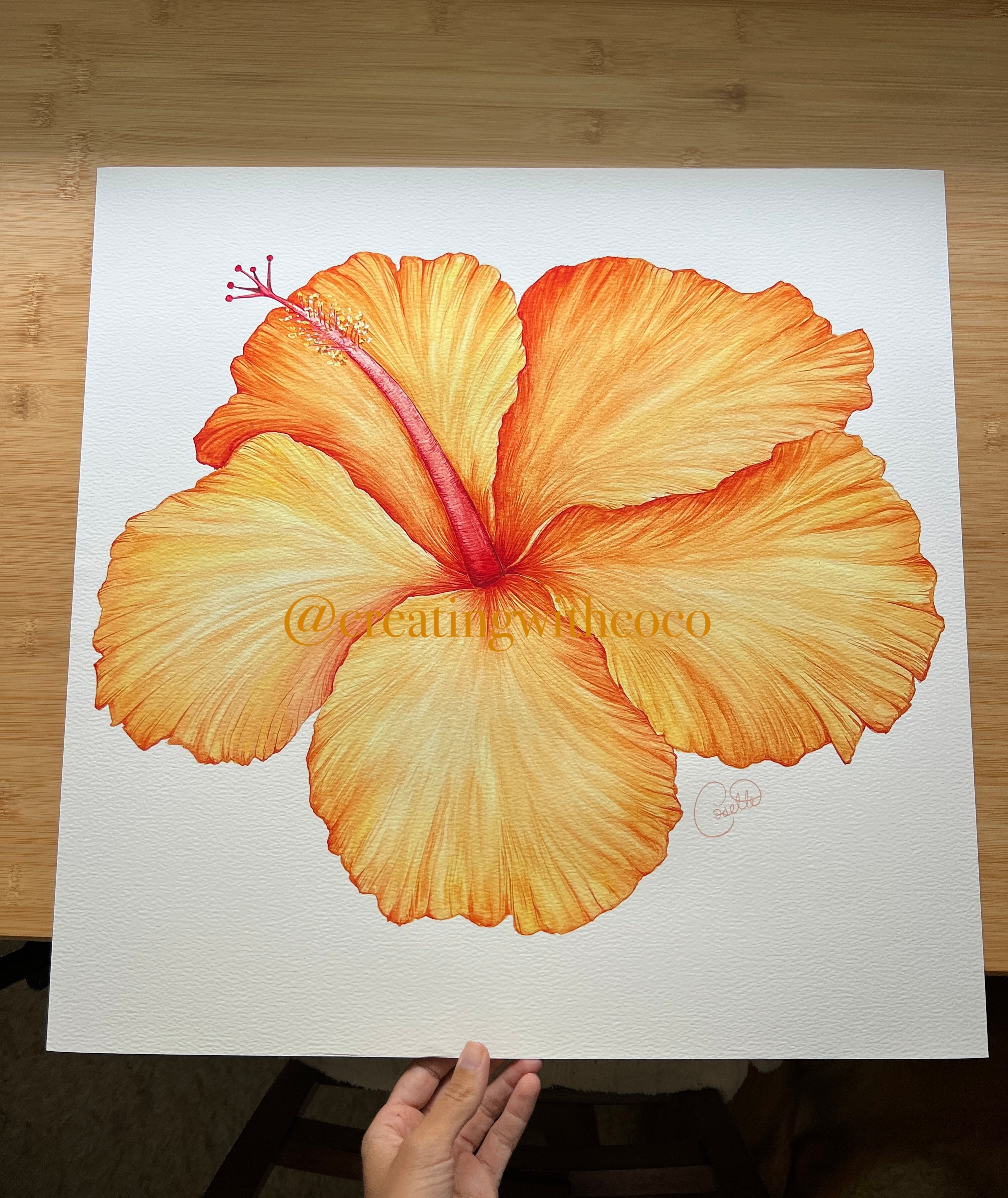 Celia Yellow Hibiscus