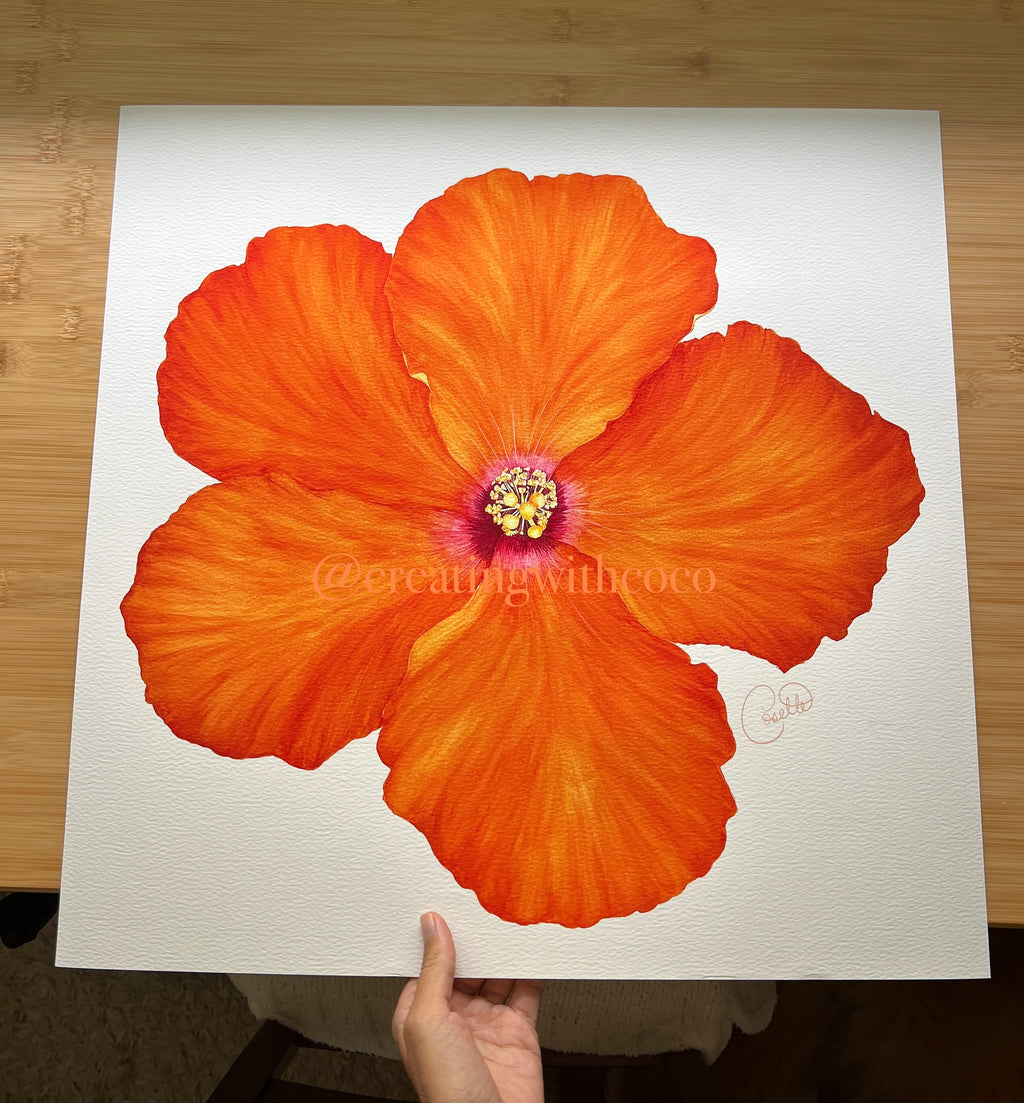 Hollywood Hibiscus