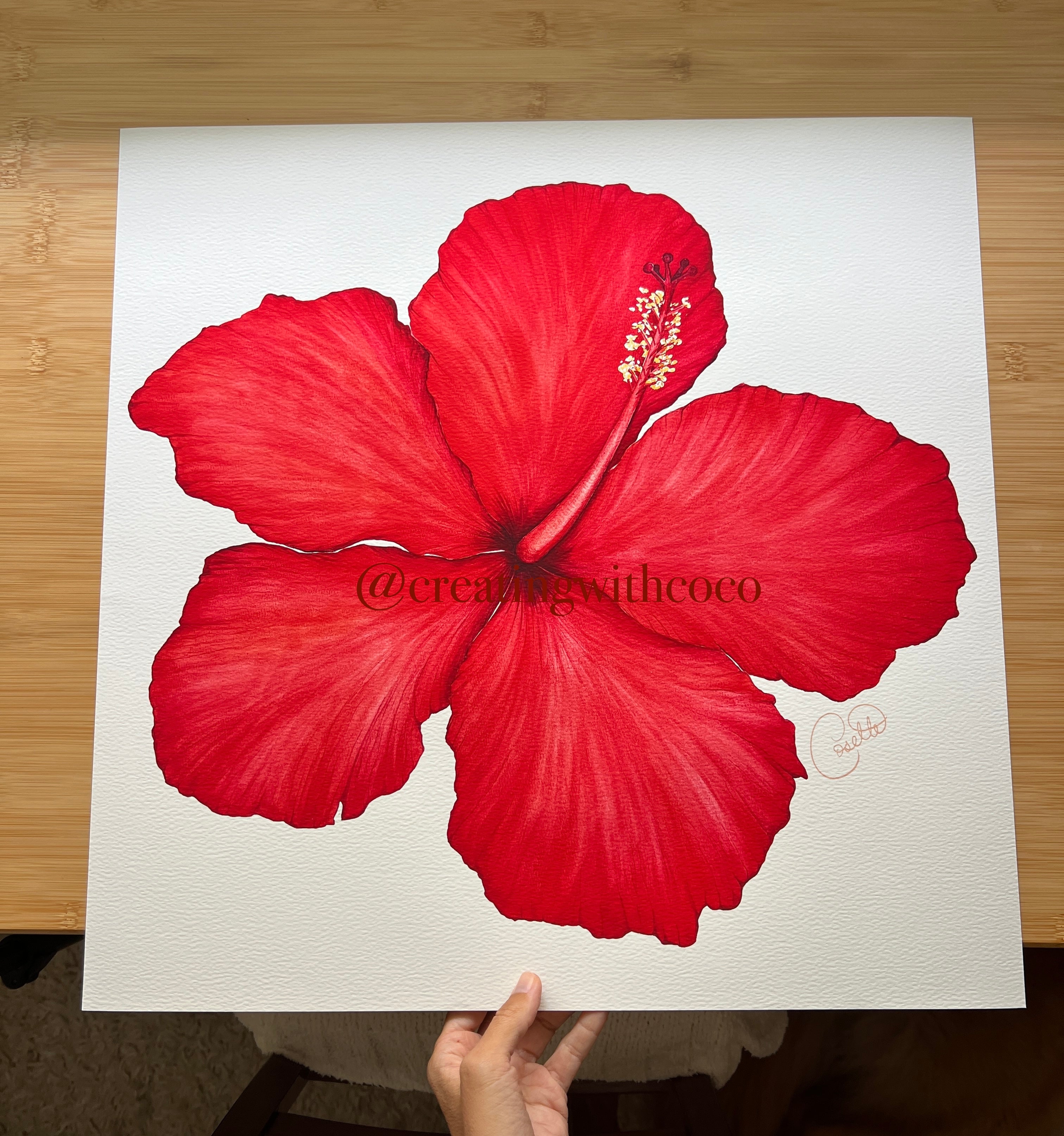 Red Darling Hibiscus