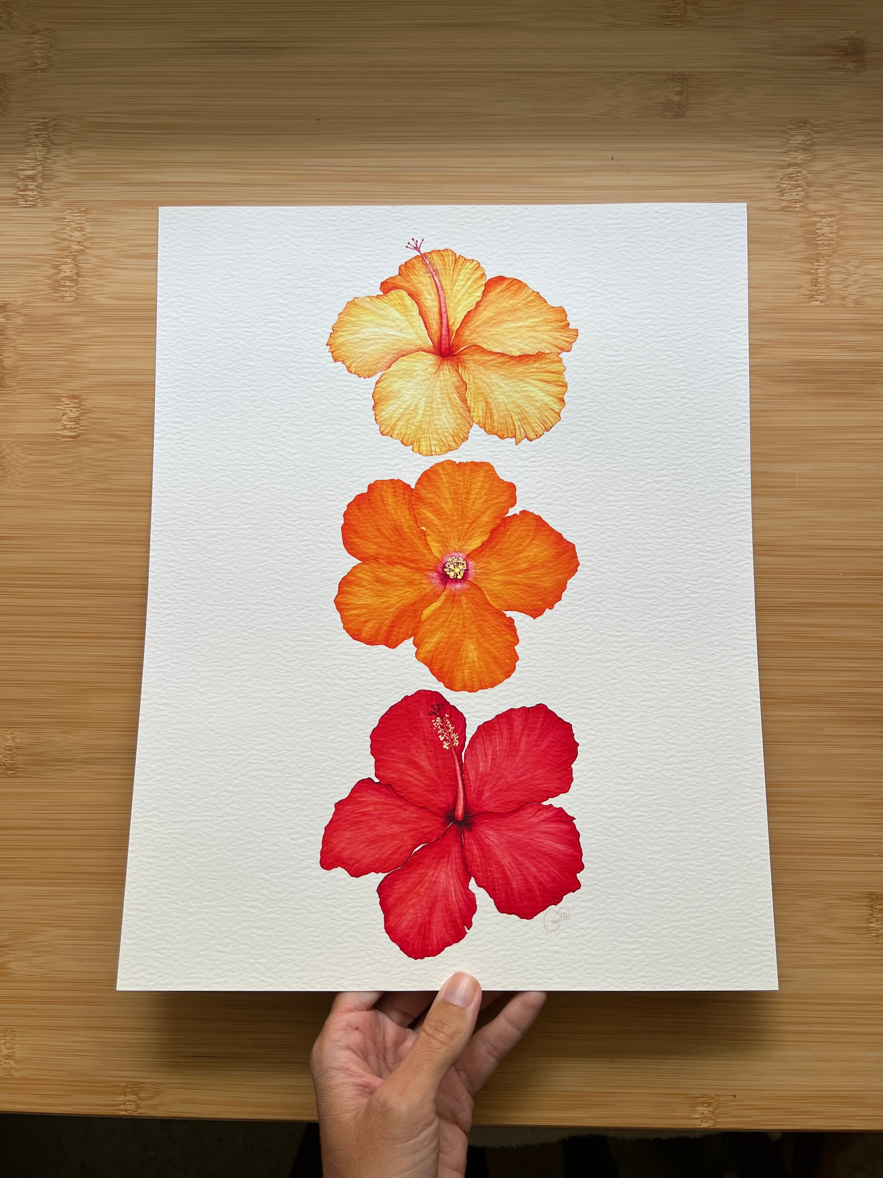 Sunset Soiree Hibiscus Trio