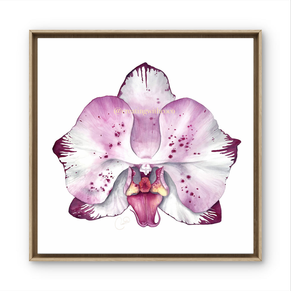 Orchid Crush